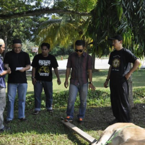 2012 qurban01